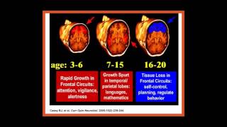 The Adolescent Brain and Mood Disorder Risk
