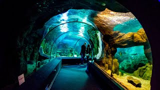 The largest aquarium \