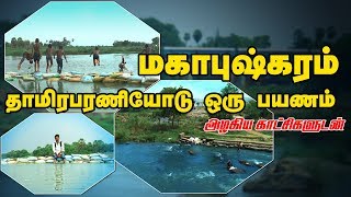 மகாபுஷ்கரம் | தாமிரபரணியோடு ஒரு பயணம் | காணக்கிடைக்காத முழு தொகுப்பு |Dinamalar Hariharan