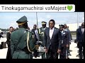 Tinokugamuchirai VaMajesty💚