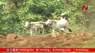 పోడు భూముల సమస్య పై సమీక్షా | Review On Podu Lands Issue In Adilabad District | NTV