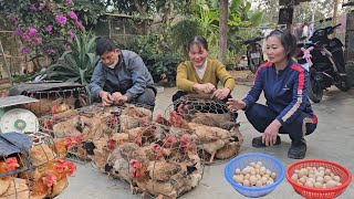 Daily work on the farm, harvesting eggs and selling broilers. ( Ep 328 )