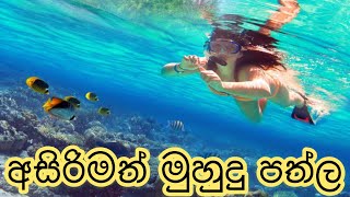 මුහුදු පතුලේ අසිරිය | Coral Reef Fish | Underwater Video HD