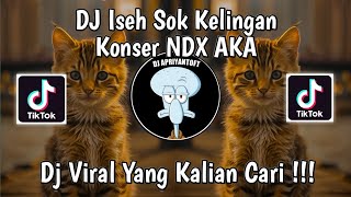 DJ ISEH SOK KELINGAN KONSER NDX AKA SOUND MUSIC ANAK BANGSA VIRAL TIK TOK TERBARU 2024 ! DJ DUMES