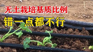 西瓜无土栽培用啥基质好？很多菜农不敢用！快看看咋回事【付老师种植技术团队官方频道】