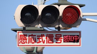 LED感知確認灯付き赤字の感応式信号