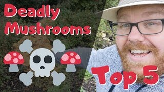 Poisonous Mushrooms  - Deadly Mushrooms UK Top 5 - Death Cap Mushroom
