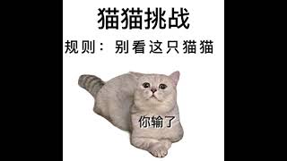 #猫咪表情包 #内容过于真实 #想要五块钱 你输了