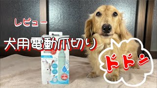 💢犬用電動爪切り【レビュー】求めていた商品を見つけたつもりだった、電動爪切り💢