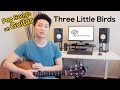 Three Little Birds (Easy/Beginner Song With Guitar Chords)