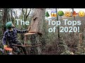 2020 Epic Tree Topping Compilation!!!