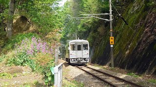 福塩線　備後本庄⇔横尾　105系　井原鉄道IRT355-101　2023/04/20　【二股の7踏切】《さくら公園》