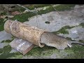 How to make an ancient mouse trap over 400 years old _Still effective