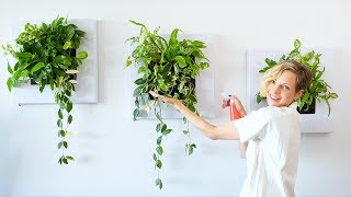 Live Frames With Plants - How To Install \u0026 Water