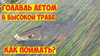 ЛУЧШИЙ воблер на ГОЛАВЛЯ ЛЕТОМ в высокой траве! Как ловить голавля летом на спиннинг! РЫБАЛКА в июне