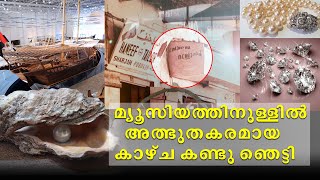 മ്യൂസിയത്തിനുള്ളിൽ അത്ഭുതകരമായ കാഴ്ച കണ്ടു ഞെട്ടി