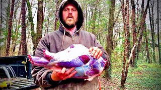 Is roadkill poisonous?