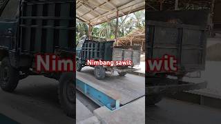 Nimbang sawit #sawit #yusrilsawit #lansirsawit #vlog #nimbangsawit