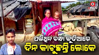 Gajapati: Awas Yojana Deprived Tribals forced to live under Polythene sheets