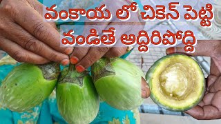 వంకాయ చికెన్ వండి చూడండి చాలా టేస్టీ గా ఉంటుంది||Brinjal chicken curry in telugu||