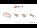 ilpra automatic tray sealer two independent sealing units foodpack speedy duo