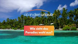 Malediven | Dein Traumurlaub - Lass Träume wahr werden