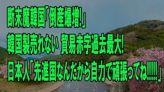 【ゆっくり解説】断末魔韓国「貿易赤字50兆₩ｗｗｗ」倒産爆増で国家崩壊か！？　韓国ゆっくり解説（爆）