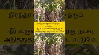 நிரந்தர வருமானம் தரும் வாழை.. #ஞானப்பிரகாசம் #tnfarmers #tnagriculture #tamil #vivasayi #farming