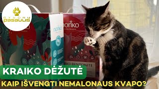 Kaip išvengti nemalonaus kraiko dėžutės kvapo?