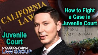 How to fight a case in juvenile court