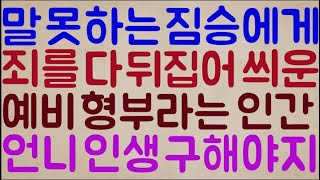 [헐.. 미친;; 소름ㄷㄷㄷ] 말 못 하는 불쌍한 짐승에게 본인의 죄를 다 뒤집어 씌운 예비 형부라는 인간 나한테 딱 걸렸어!! 언니 인생 구해야지