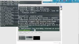 solved- linux mint 13 maya 64bit bug report: missing menu!