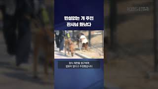 반성없는 개 주인 판사님 화났다 #shorts / KBS