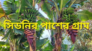 অস্ট্রেলিয়াতে সিডনি শহরের নিকটবর্তী গ্রামটা কেমন | Rural Australia