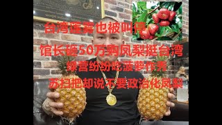 台湾莲雾也被叫停！大陆贸易商暂停进口高雄莲雾。馆长砸50万购凤梨挺台湾。绿营鸡飞狗跳，“苏扫把”却说不要政治化菠萝事件