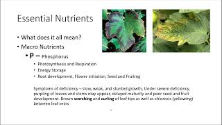 Hort 300- Nutrients