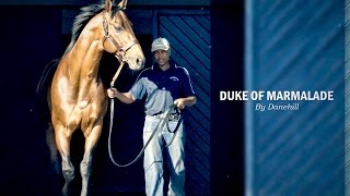 Duke Of Marmalade by Danehill (2015)