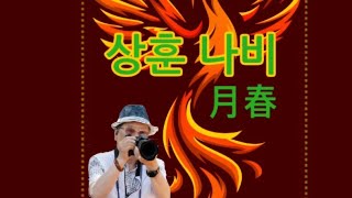 무정한 사람 (김용임)