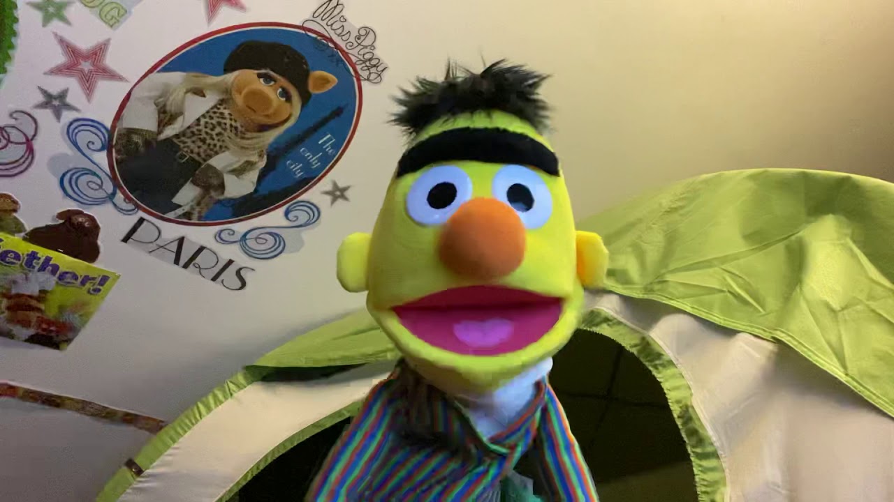 Bert Sings That S Love Youtube Music
