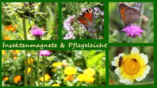 Insektenfreundliche \u0026 Pflegeleichte Pflanzen für den Garten