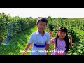 Kids Video | Thylia And Vitorio Went Picking Berries At The Farm With Children Songs And Activities