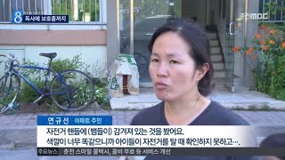 [춘천MBC뉴스] 아파트 뱀 '득시글'..독사에 보호종까지