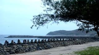 Tugas Portofolio Double Track Multimedia SMAN 1 Kalidawir | Cinematic Di Pantai Tambak