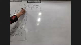 Circulatory Systems - LMAF Batch 62