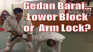 Gedan Barai ... Lower Block or Arm lock?