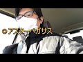 【京王杯２歳s 2018】単複１点勝負 京王杯２歳s 競馬予想