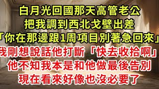 白月光回國那天高管老公，把我調到西北戈壁出差「你在那邊跟1周項目別著急回來」我剛想說話他打斷「快去收拾啊」他不知我本來是和他做最後告別，現在看來好像也沒必要了#復仇 #逆襲 #爽文