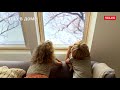 Обзор мансардного окна velux модель Дизайн