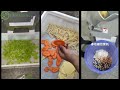 roots vegetable cutting machine