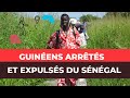 Expulsions massives de Guinéens au Sénégal : Ce que vous devez savoir !